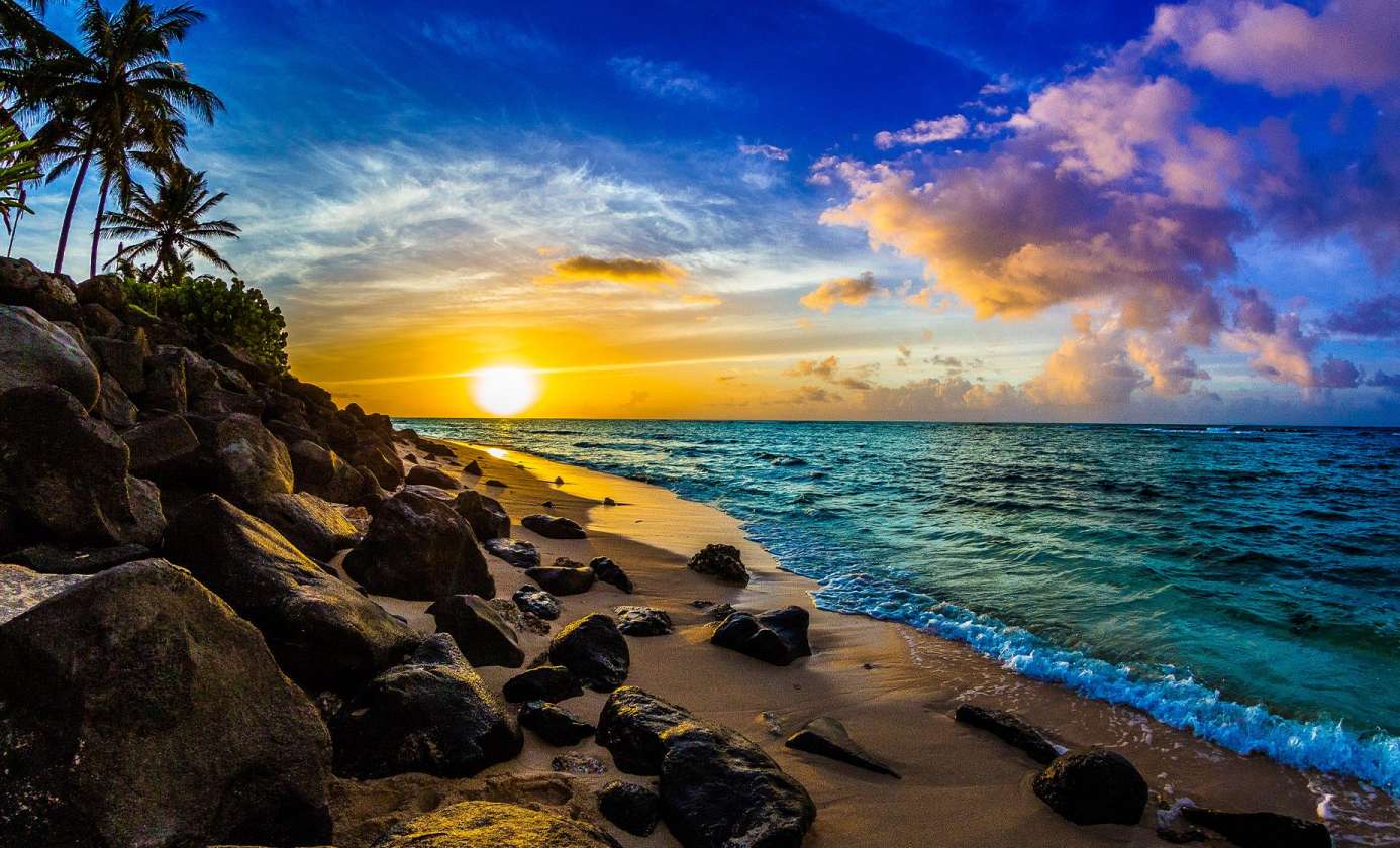 entusiasta playero rompecabezas en línea