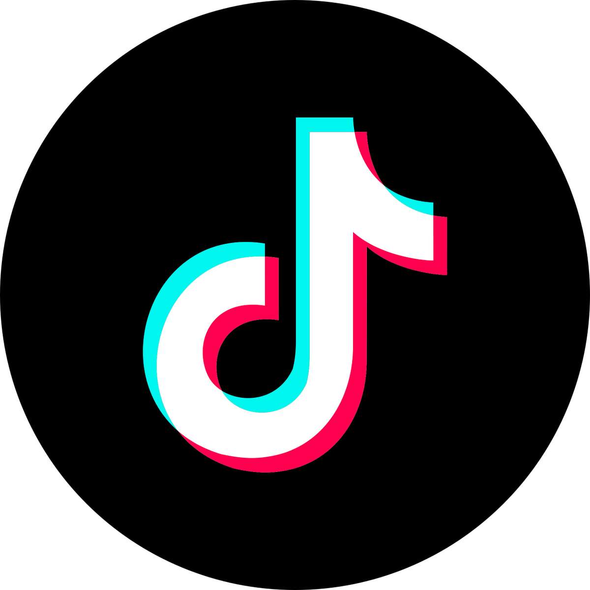 logo tiktok puzzle online z fotografie