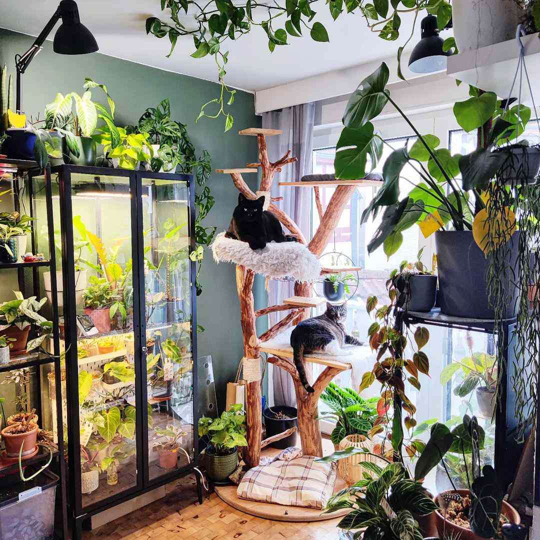 Стая за растения 1 онлайн пъзел от снимка