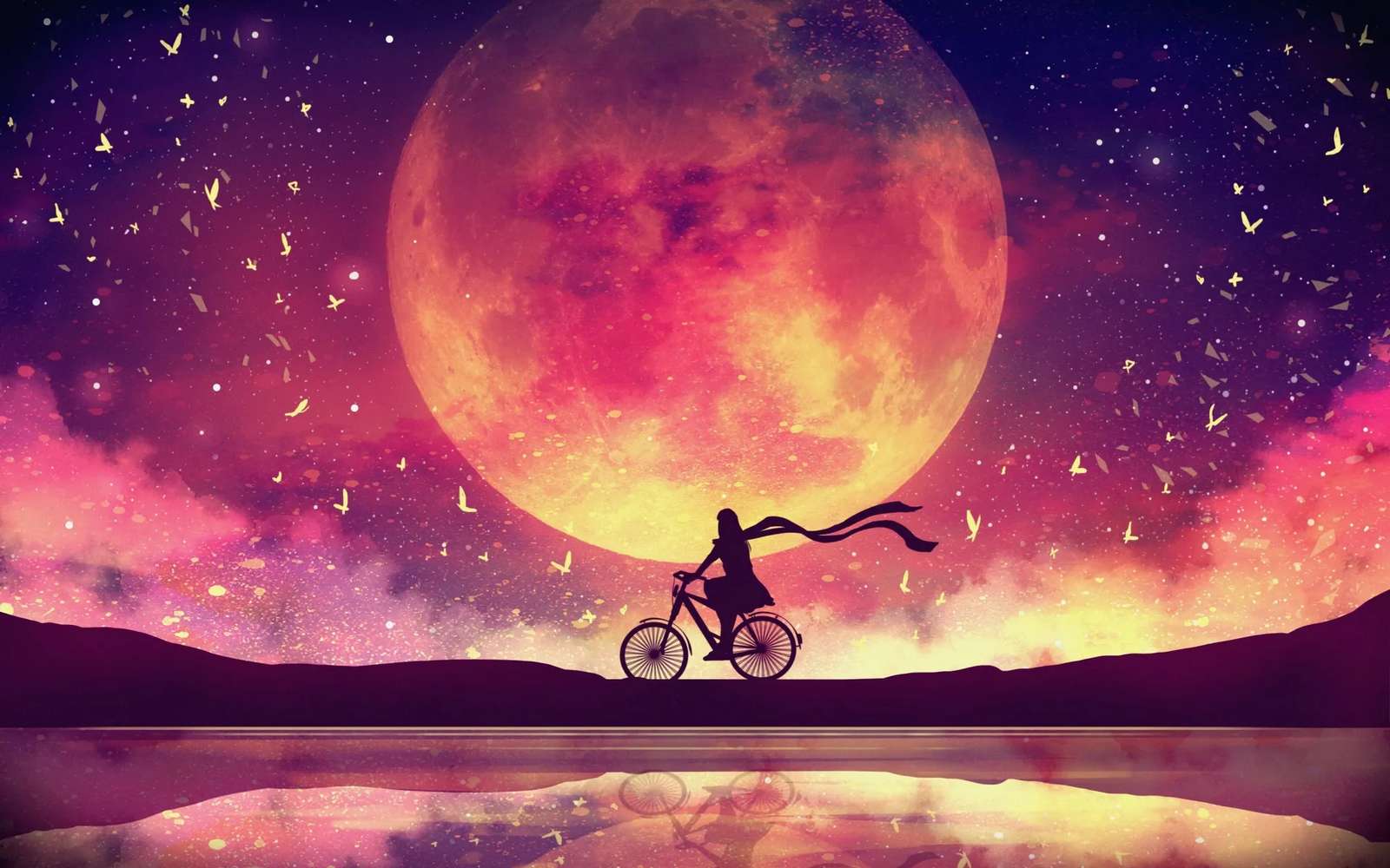 foto da lua e da bicicleta puzzle online a partir de fotografia
