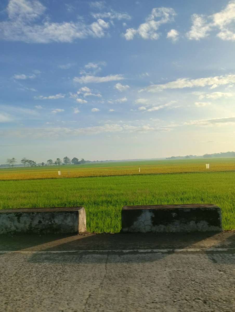 Paisaje del Cordón rompecabezas en línea