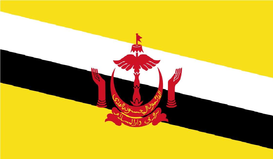 Vlajka Bruneje online puzzle