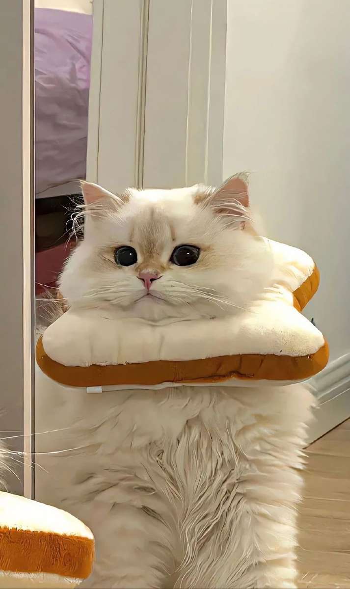 Котячий хліб онлайн пазл