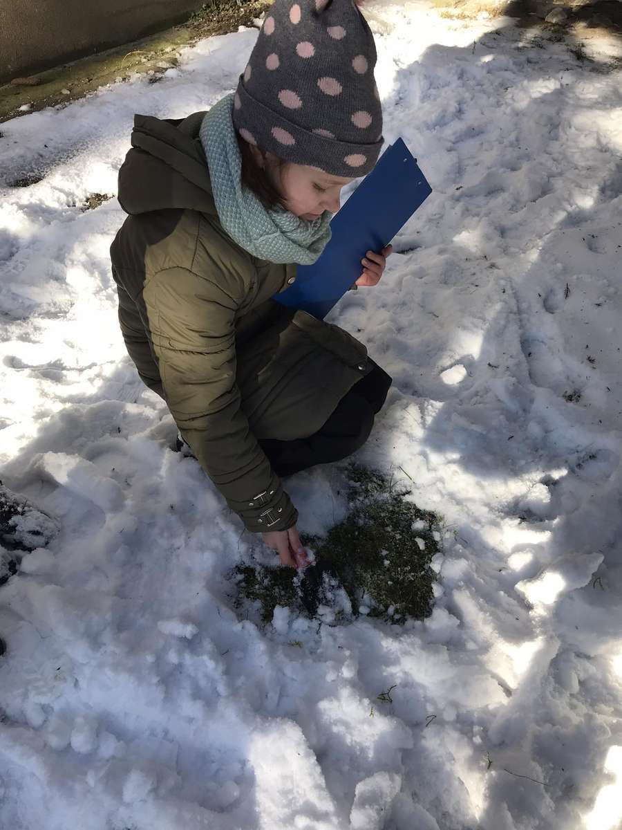 In de winter voeren kinderen de dieren online puzzel