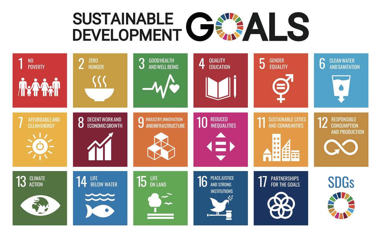 SUSTAINABLE DEVELOPMENT GOALS online puzzle