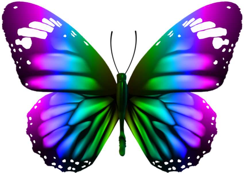 бабочка онлайн-пазл