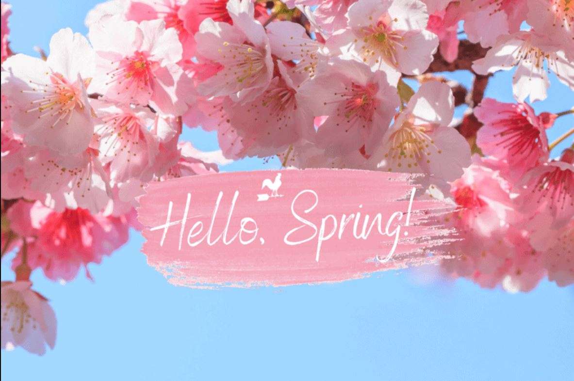 Hello Spring! puzzle online from photo