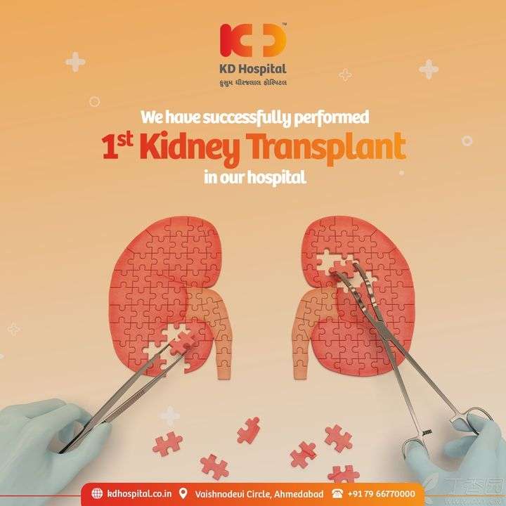 KIDNEYDAY online puzzle