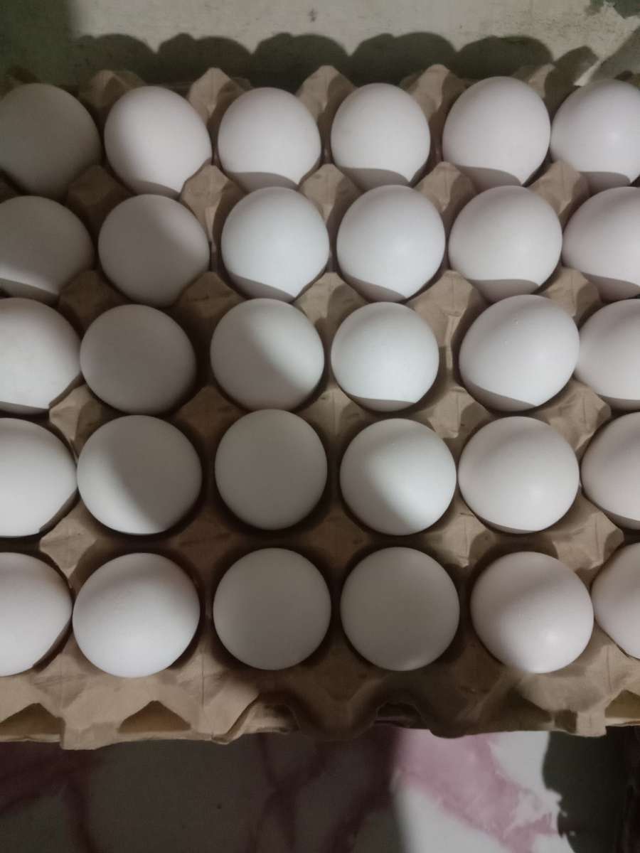 Пъзел с яйца онлайн пъзел от снимка