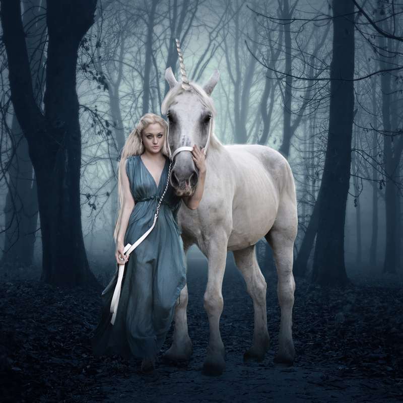 Forest Elf with Unicorn online puzzle
