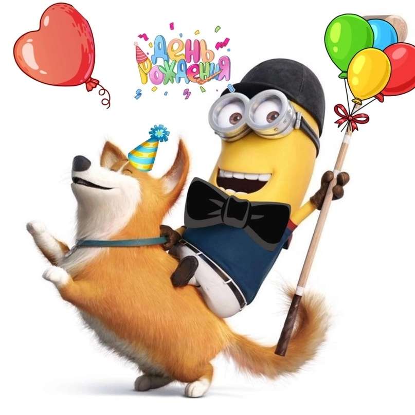Corgi from minions birthday 2024 puzzle online from photo
