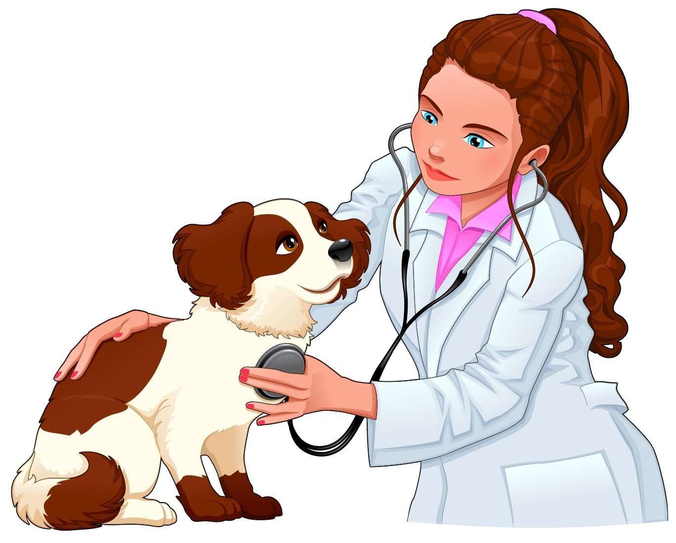 ветеринарен лекар онлайн пъзел от снимка