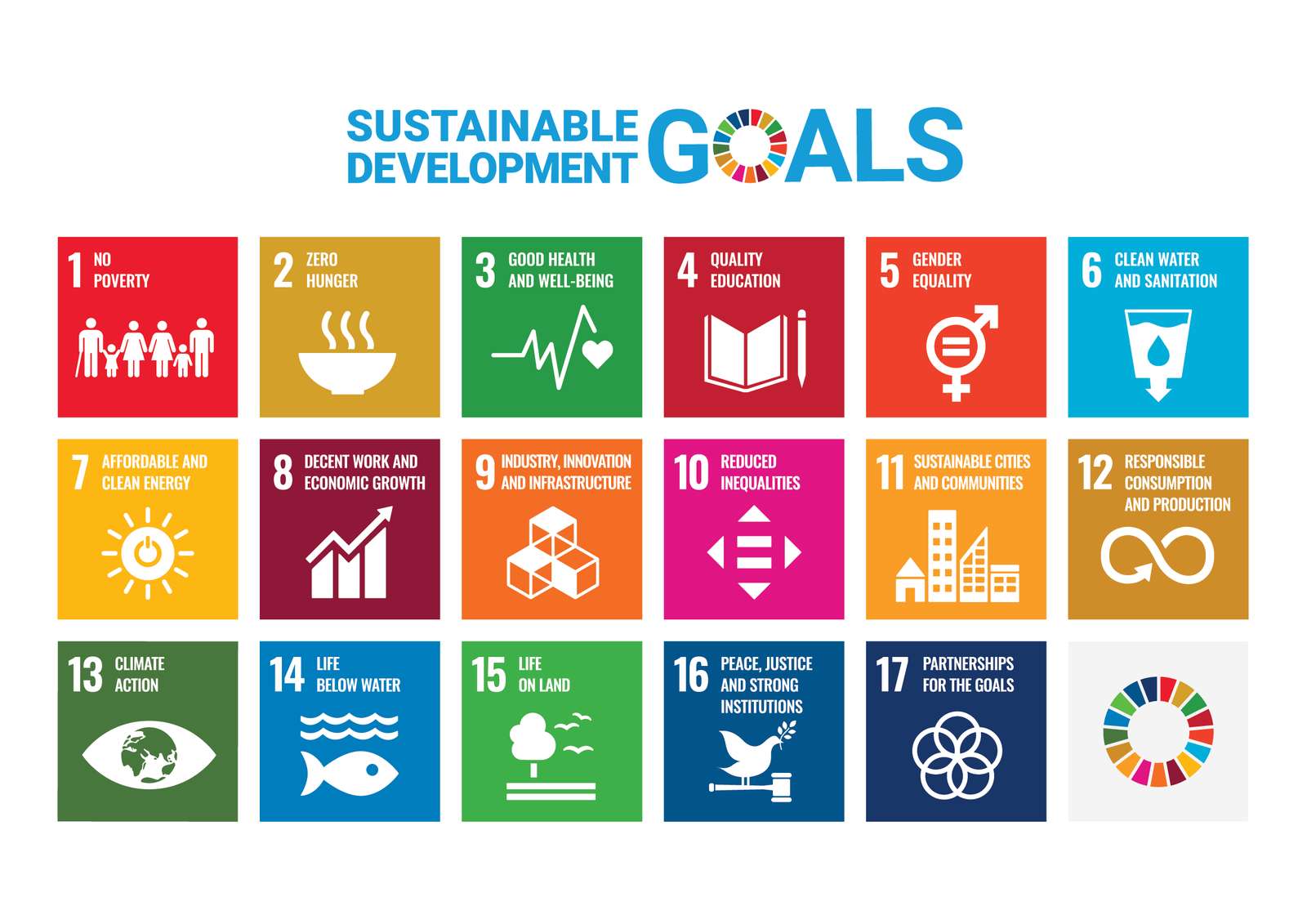 SUSTAINABLE DEVELOPMENT GOALS puzzle online from photo