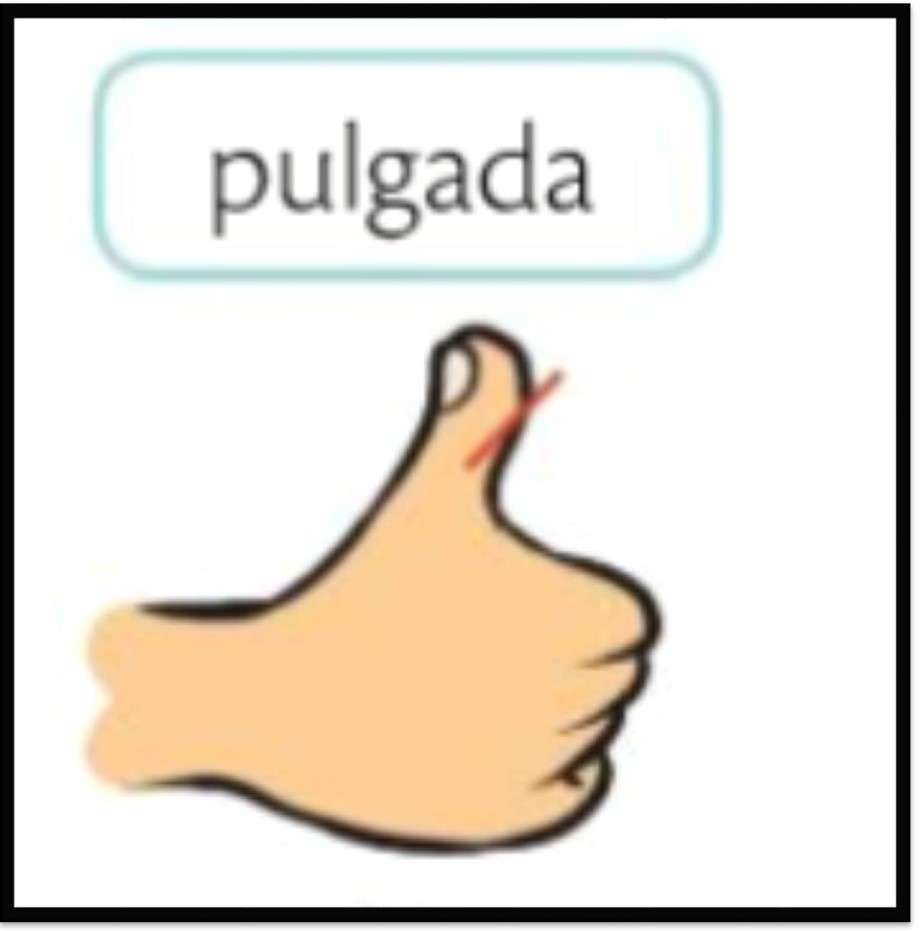 PULGADA MEDIDA puzzle online a partir de foto