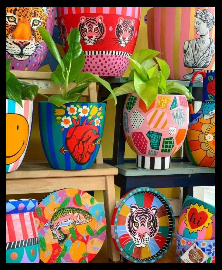 Vasos de plantas coloridos - pintados puzzle online