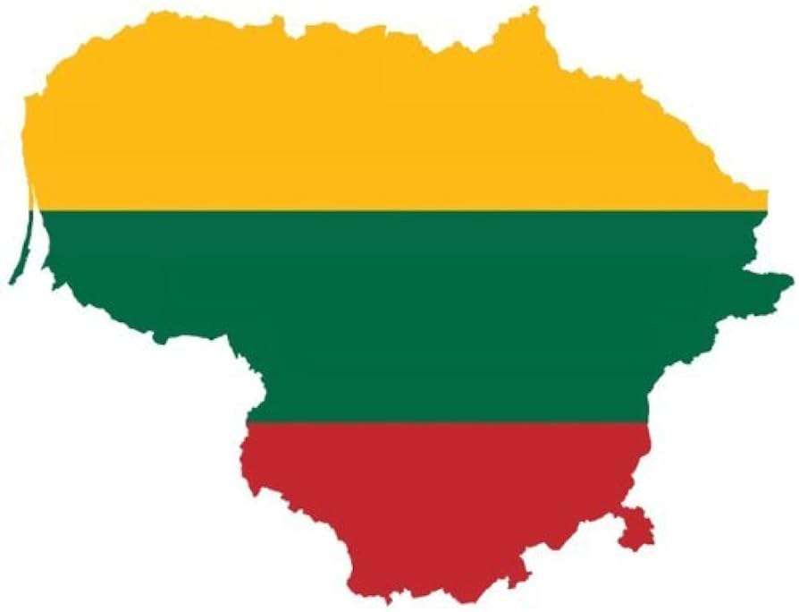 Lietuvos konturai rompecabezas en línea