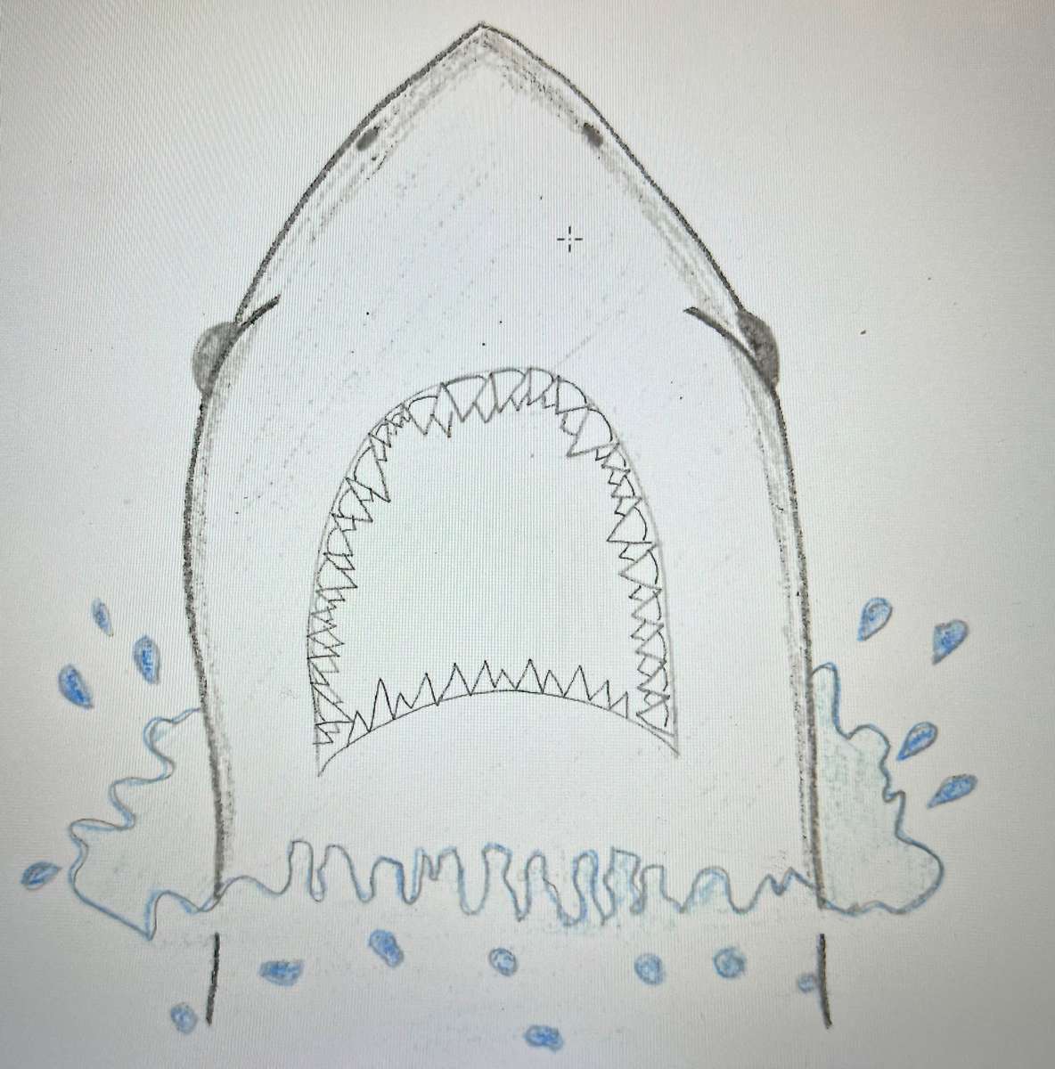 サメの泳ぎ 1 写真からオンラインパズル
