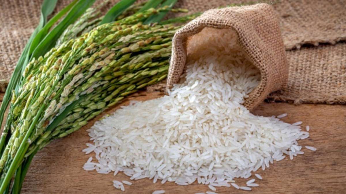 chico del arroz rompecabezas en línea