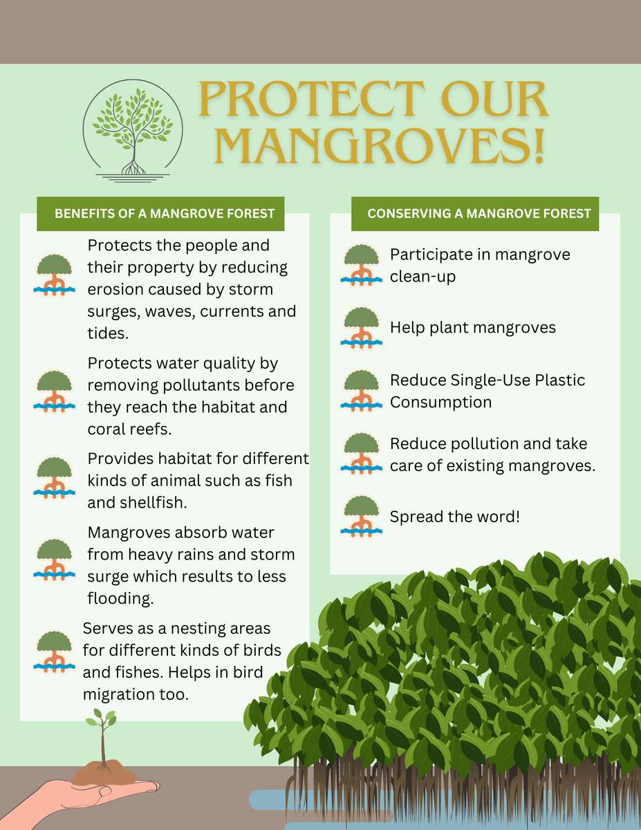 Mangrovie puzzle online