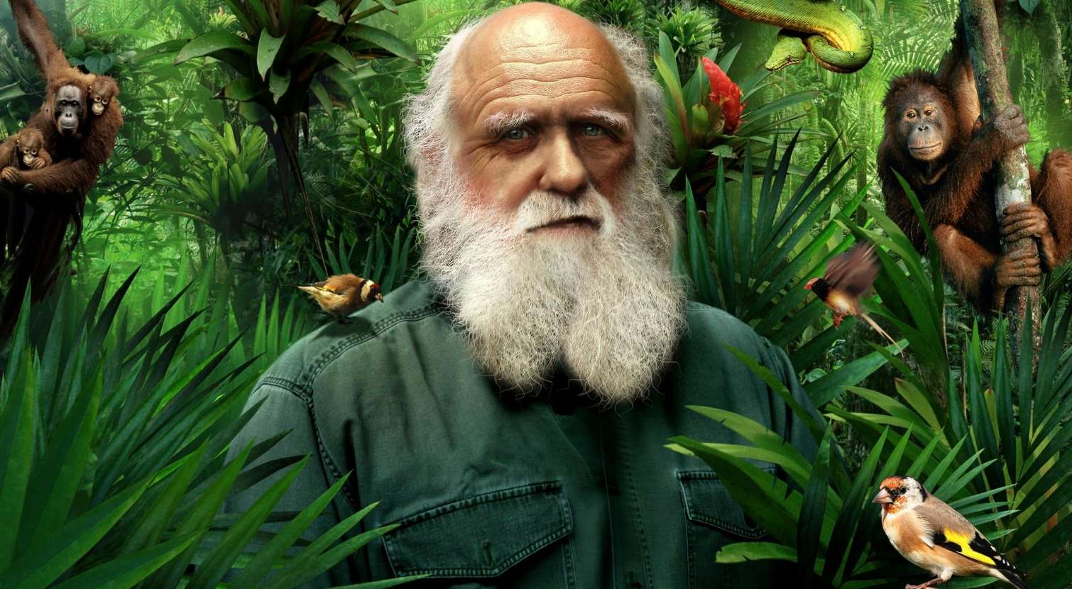 Charles Darwin online puzzel