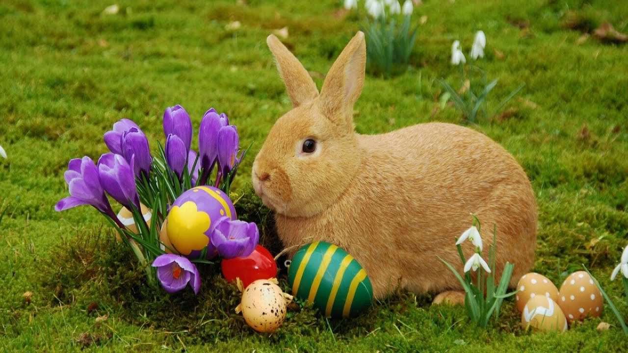 Ki menti meg a húsvéti tojásokat? online puzzle