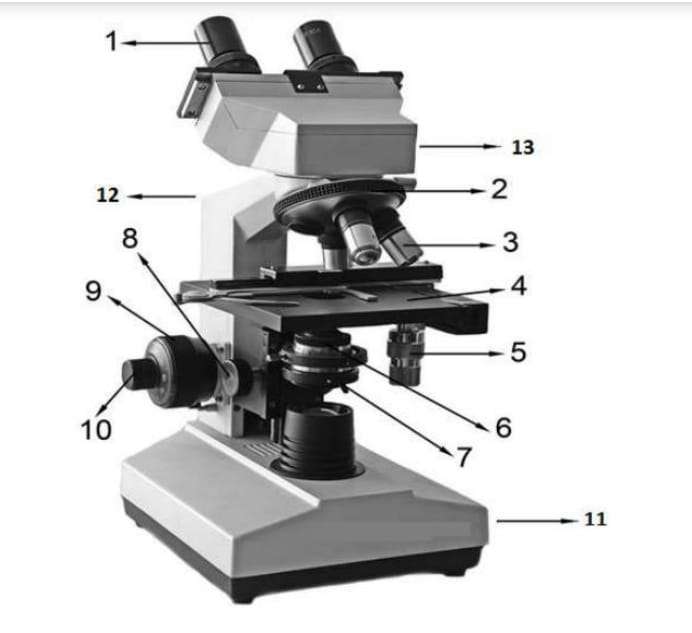 mikroskop pussel online från foto