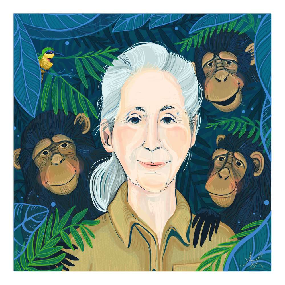 Jane Goodall online puzzel