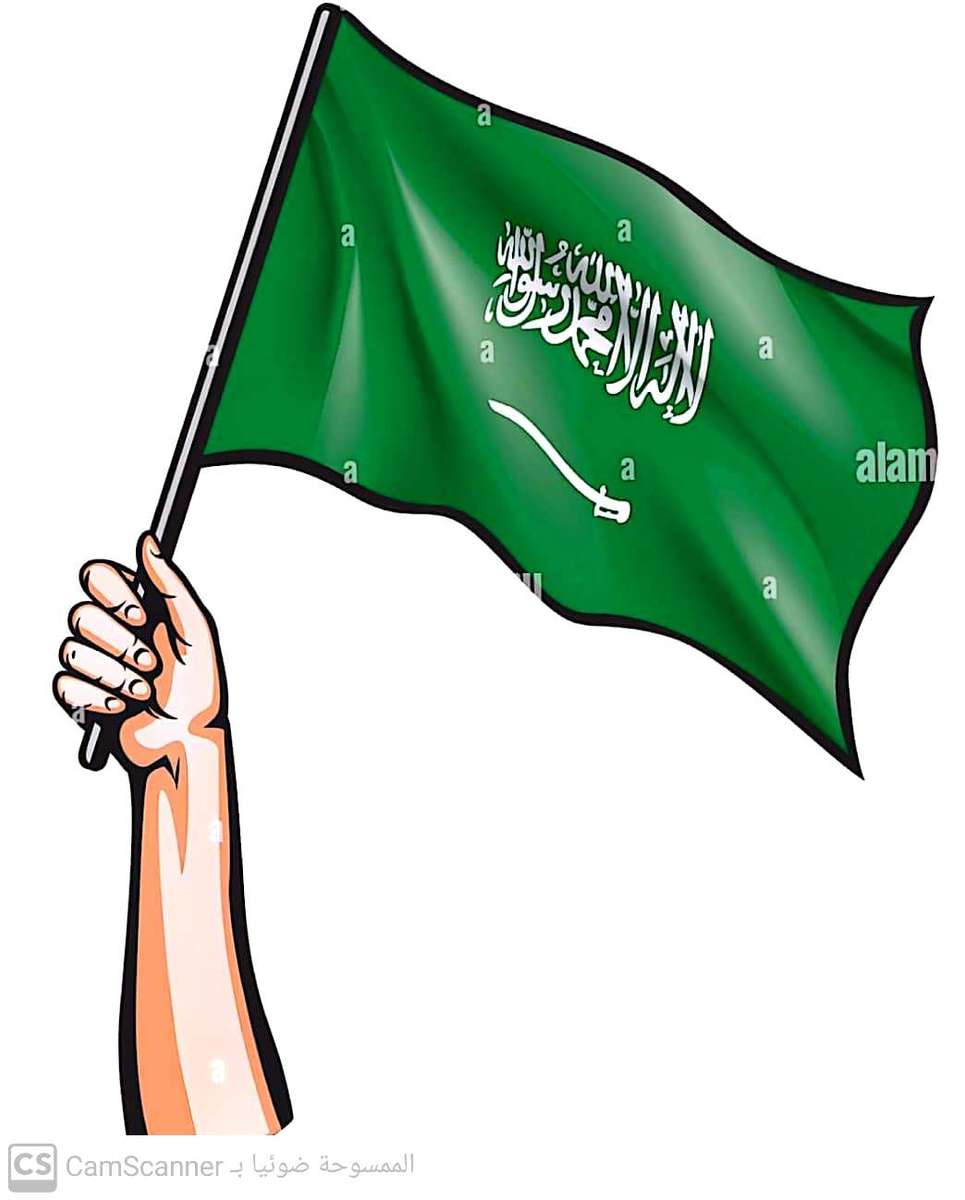 Steagul saudit puzzle online din fotografie