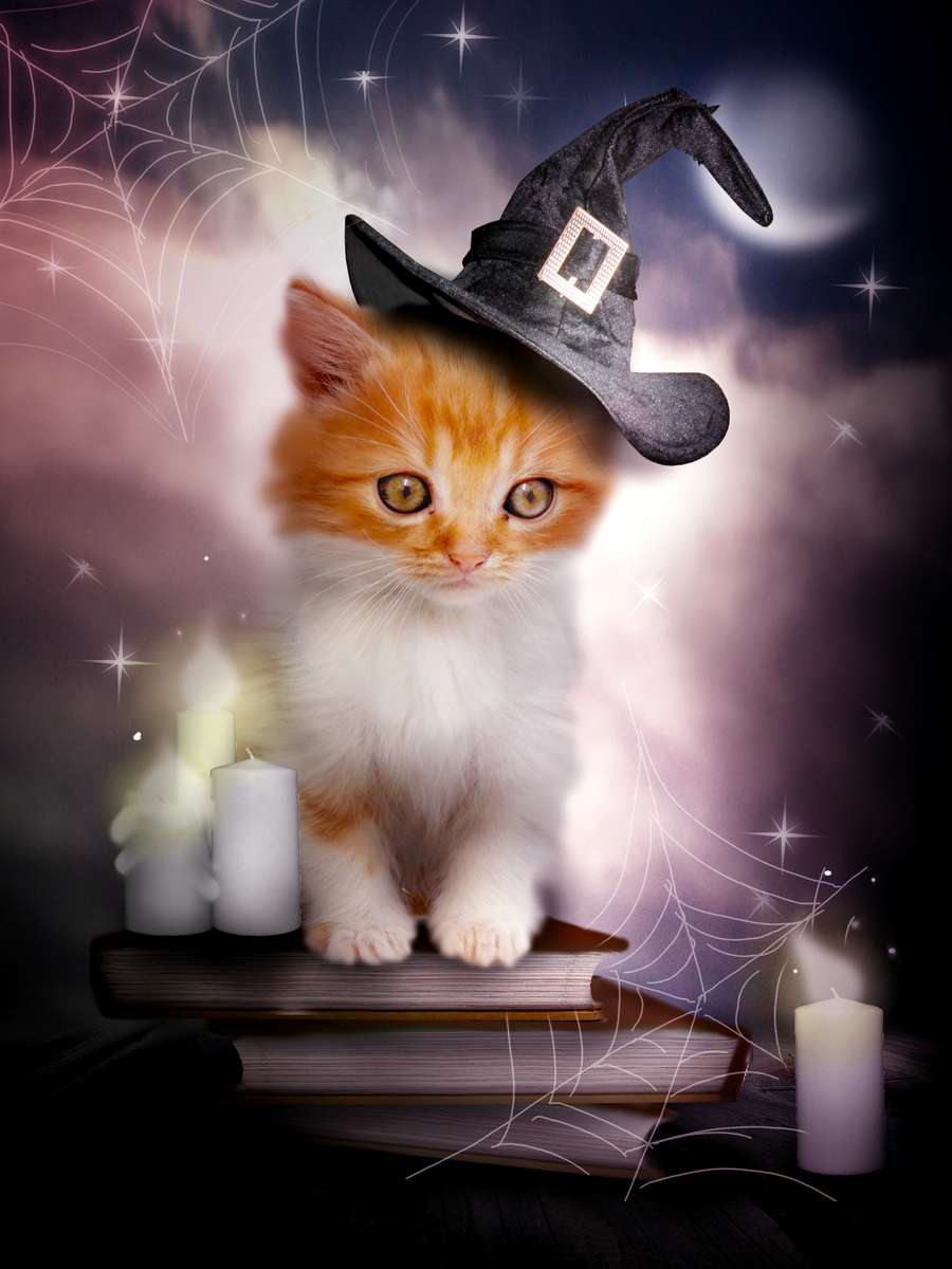 Katter och magi pussel online från foto