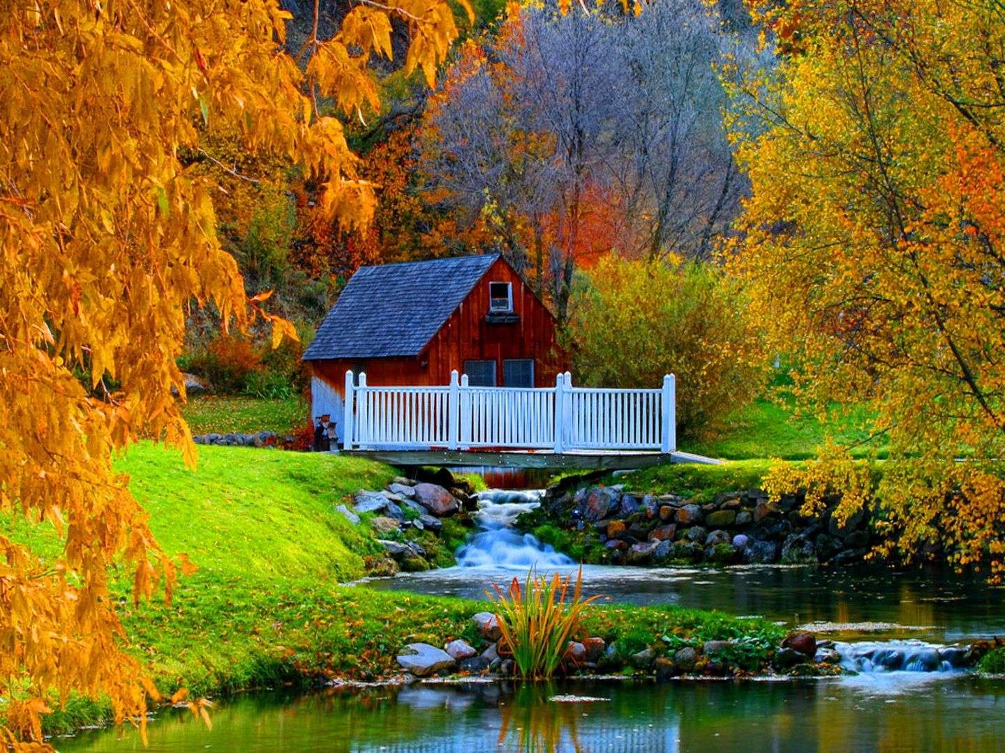 Есен в цветове онлайн пъзел