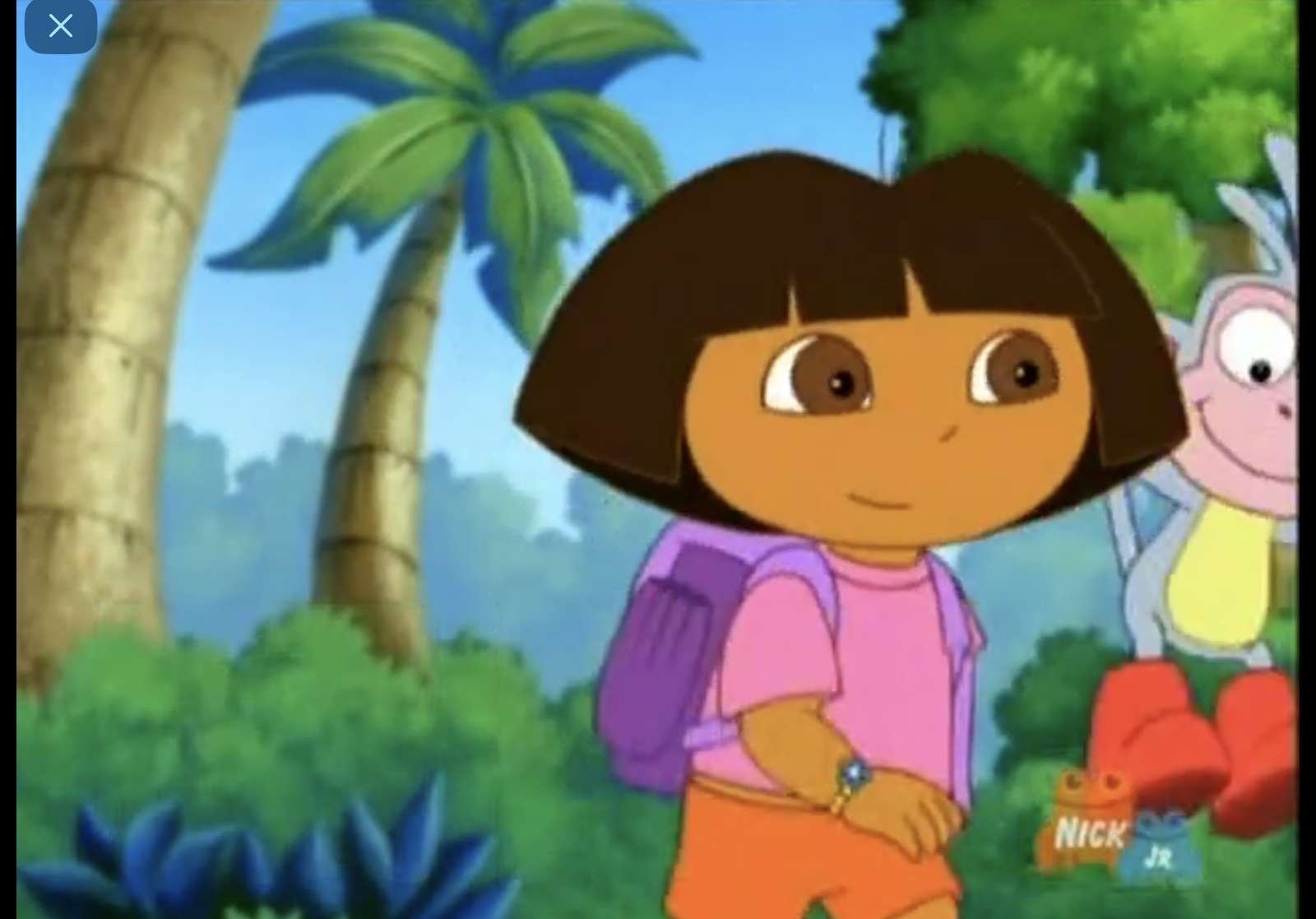 Dora l'exploratrice rapido tico puzzle en ligne à partir d'une photo