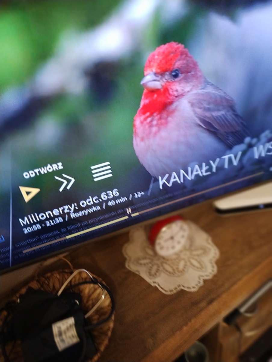 Televizní pták. online puzzle