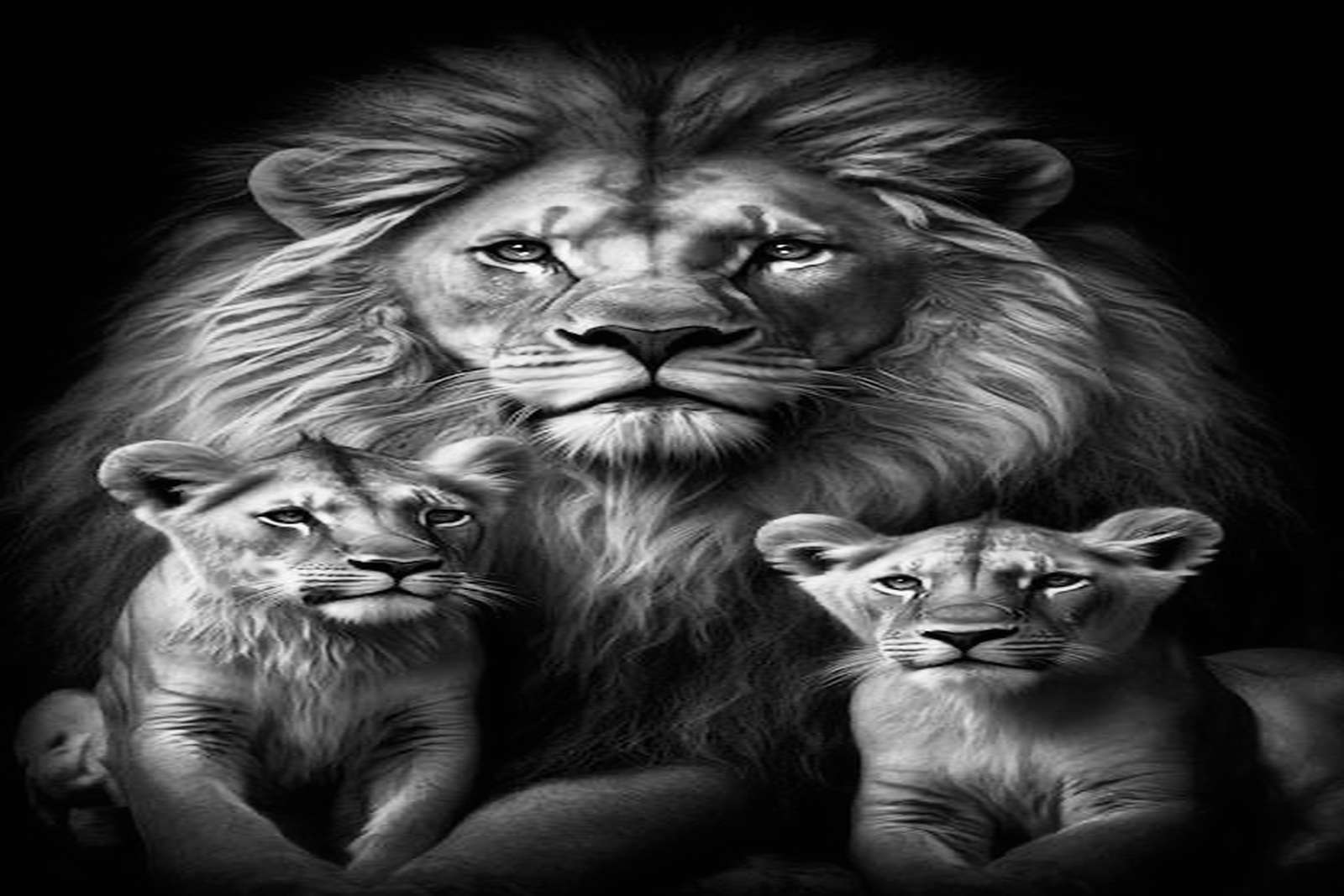 Casse-tête Lion puzzle en ligne
