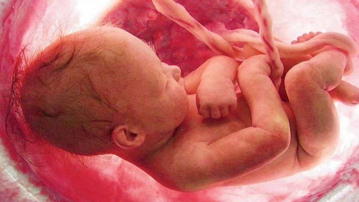 Prenatal pussel online från foto