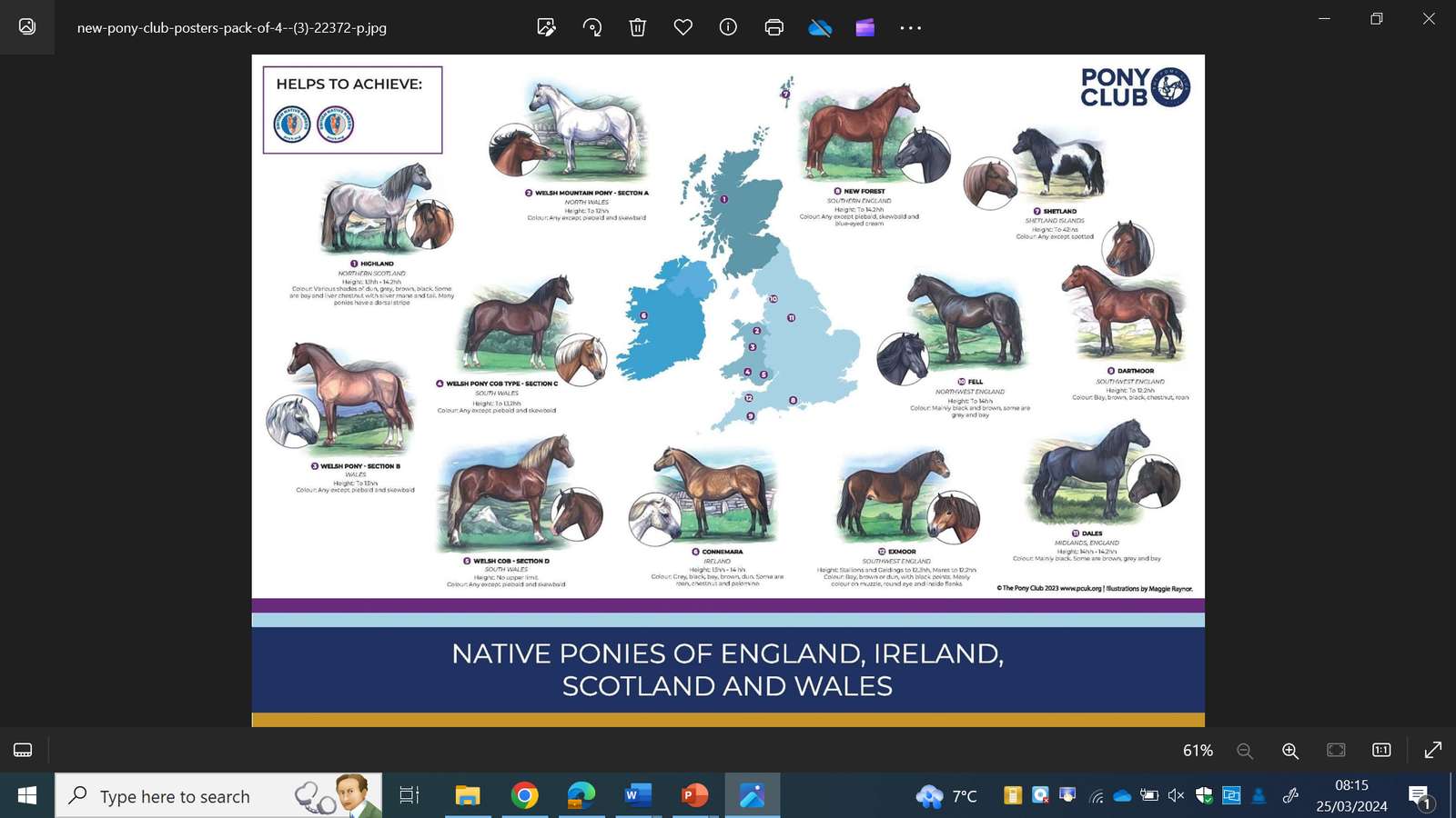 коне във Великобритания онлайн пъзел