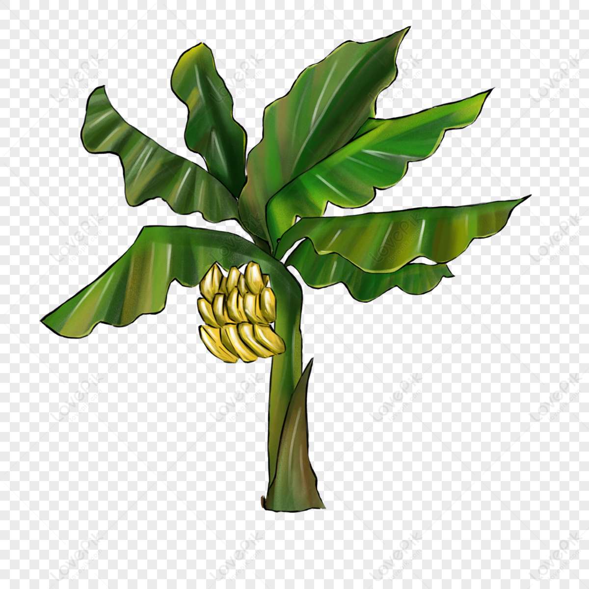 banana plant puzzle online from photo