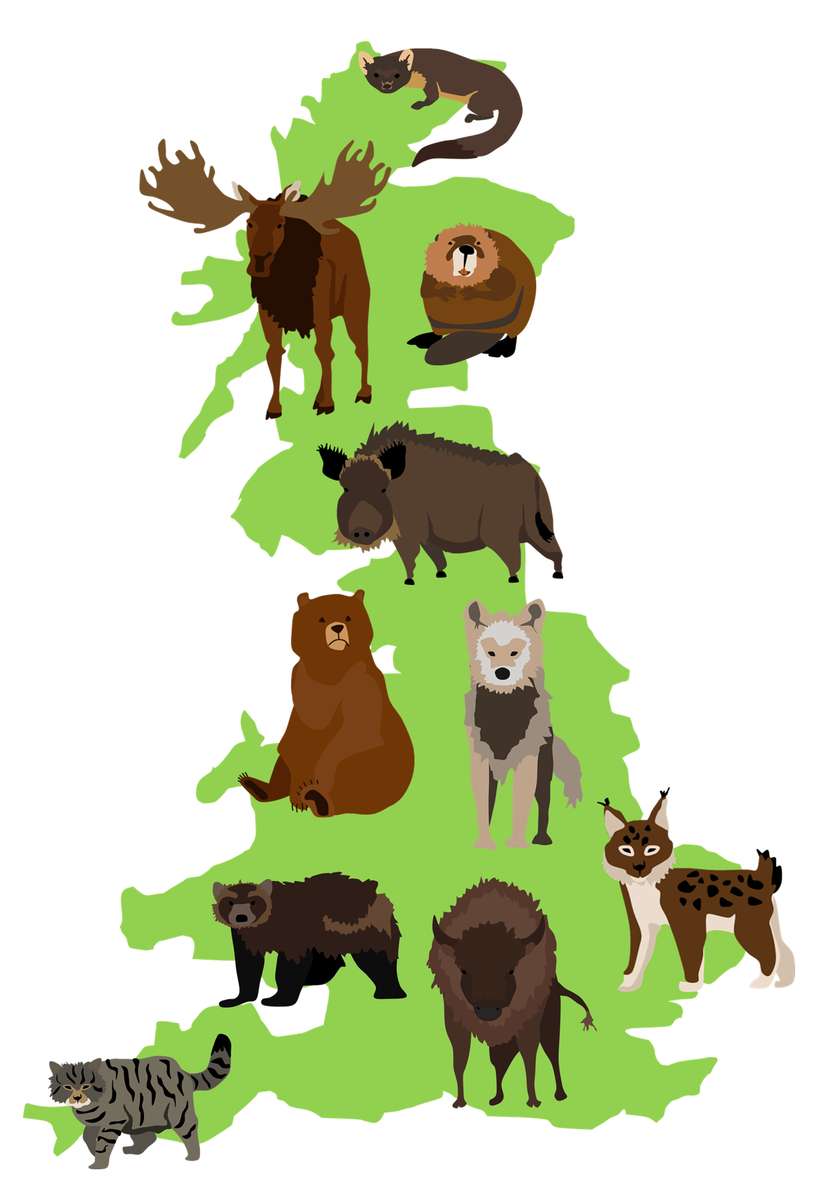 Пъзел с карта на местните видове на Великобритания онлайн пъзел от снимка