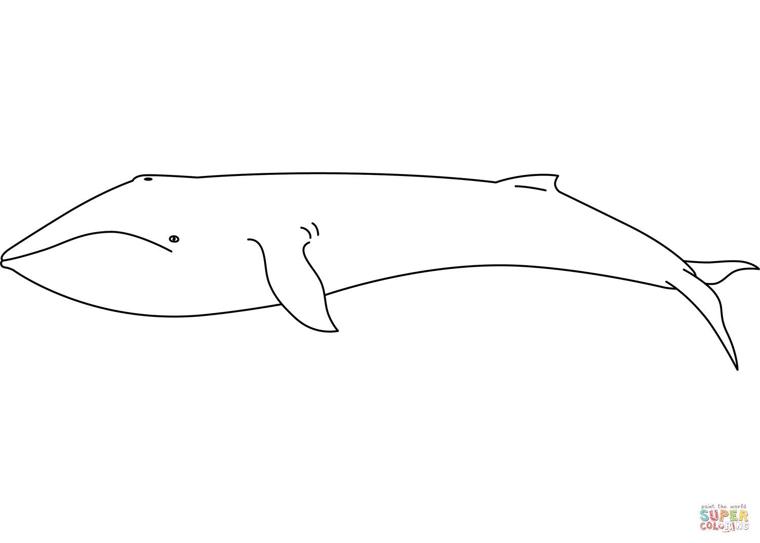 Головоломка с китами онлайн-пазл