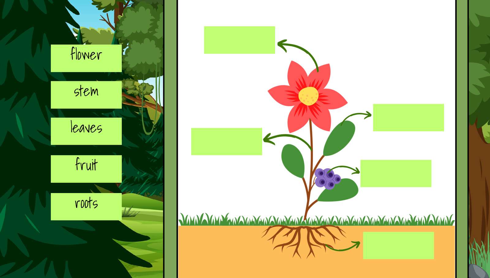 A növény részei online puzzle