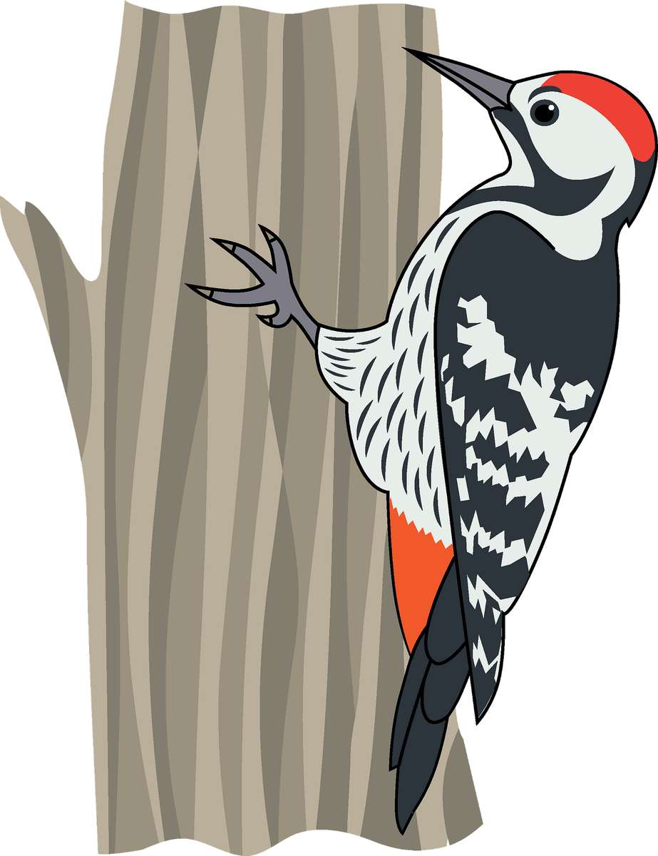 Woodpecker Fox puzzle online from photo