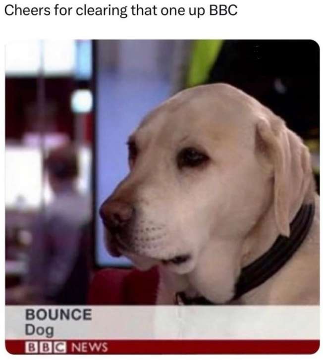 Bounce doggo παζλ online από φωτογραφία