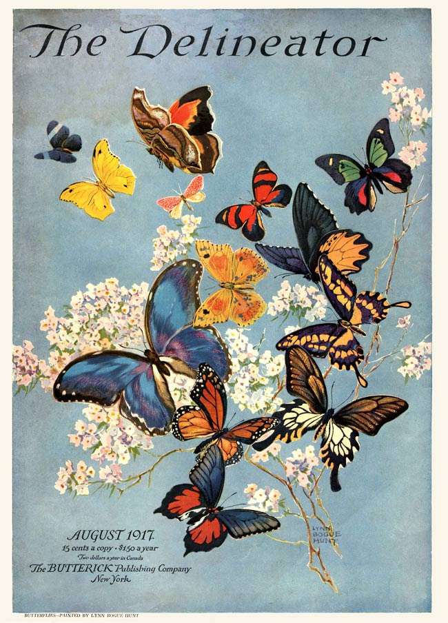 The delineator butterflies puzzle online from photo