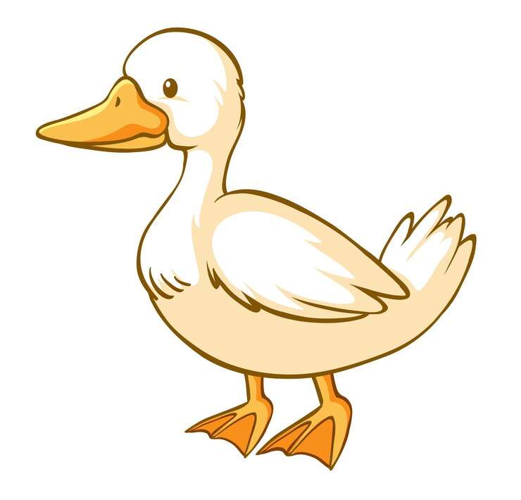 Duck Juck puzzle online from photo