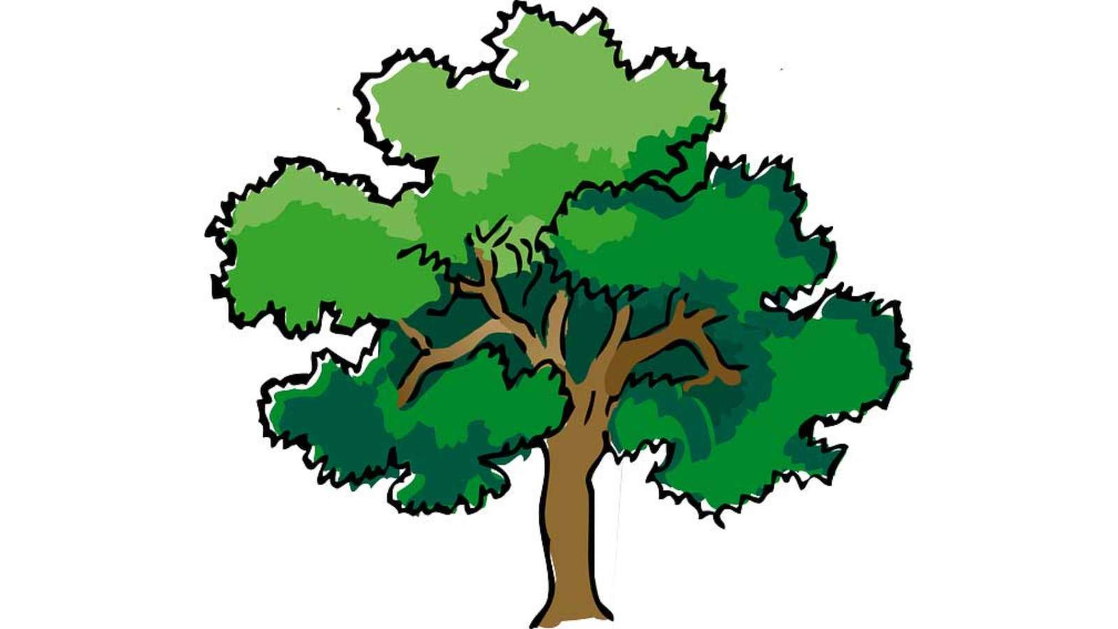 Salva albero puzzle online da foto