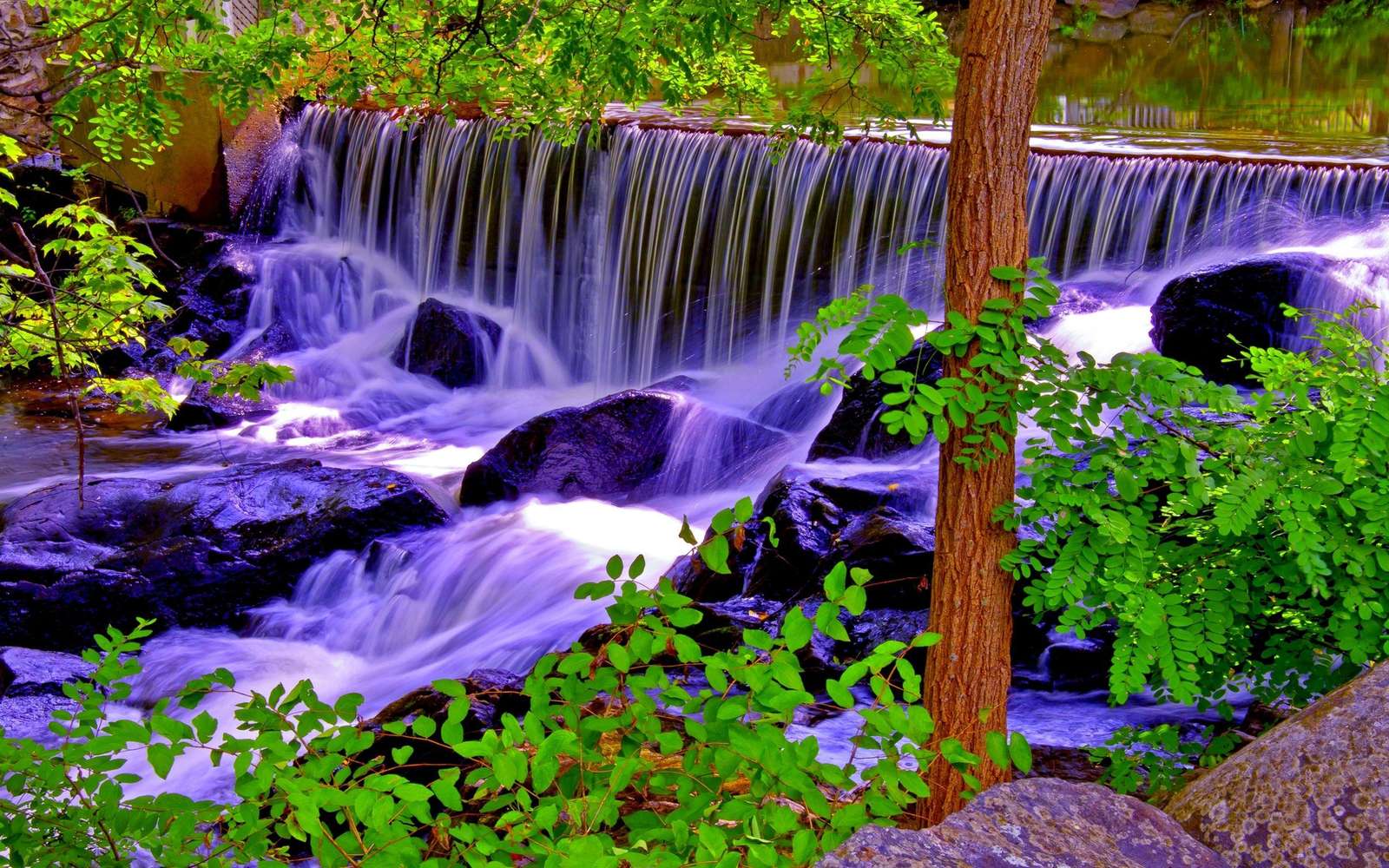 Пурпурен водопад в гората онлайн пъзел от снимка