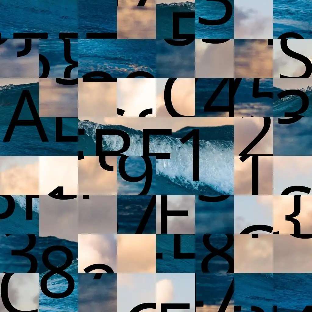 Coucouteste puzzle online a partir de fotografia