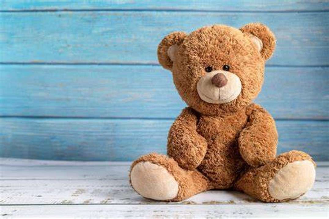 Teddy bear puzzle online from photo