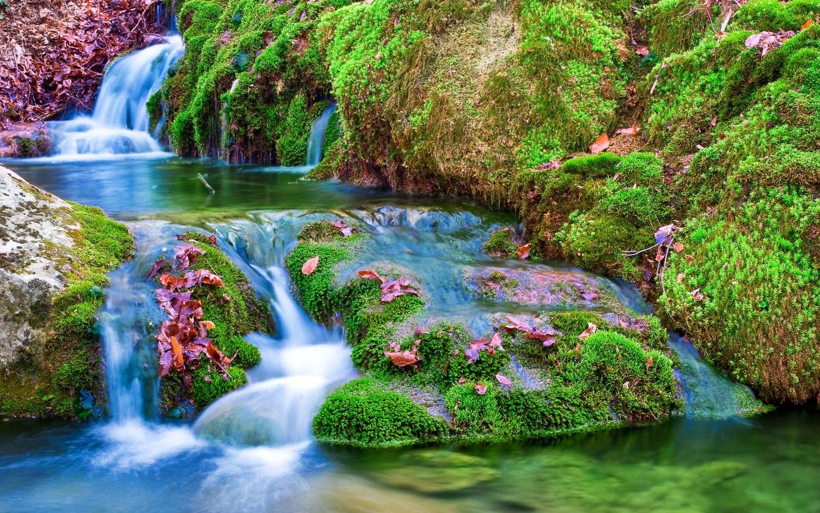 Green Moss and Water puzzle online from photo