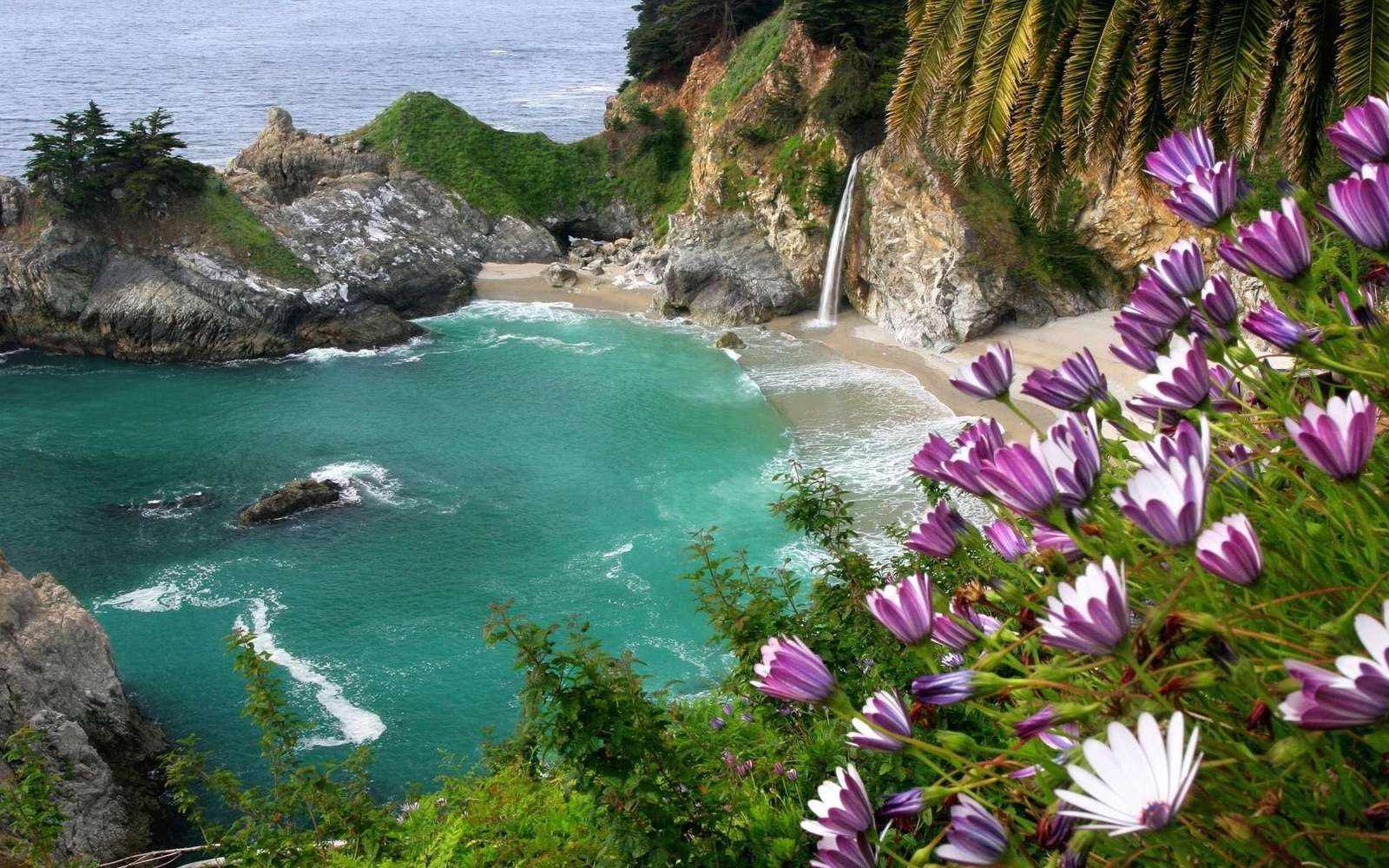 Океан с лилави цветя онлайн пъзел от снимка