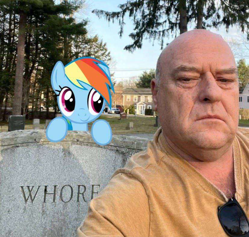 A bald man and a pony online puzzle